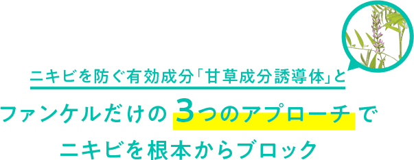 ニキビを防ぐ有効成分「天草成分誘導体」とファンケルだけの3つのアプローチでニキビを根本からブロック